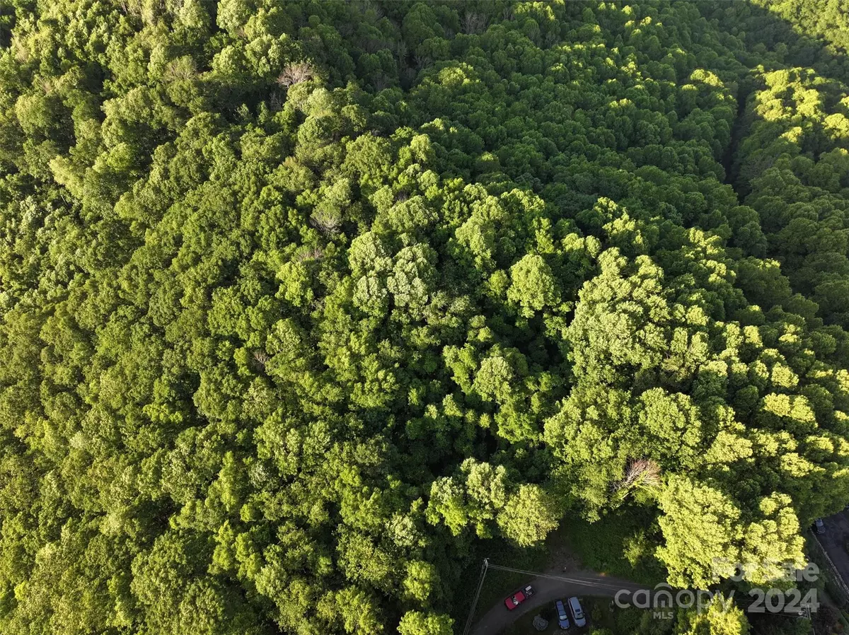 Spruce Pine, NC 28777,000 Wipprecht DR