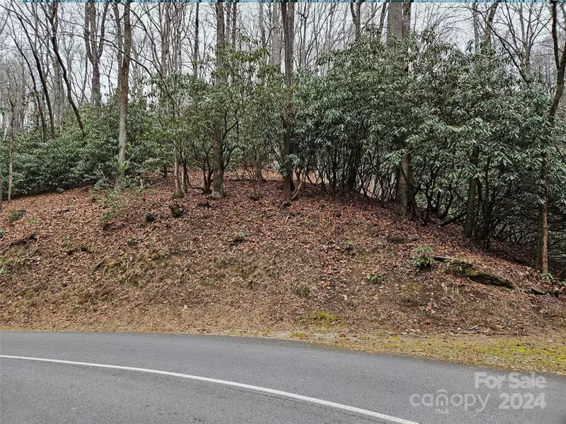 000  Lot 13 Sec 23 Dvdisdi CT #13, Brevard, NC 28712