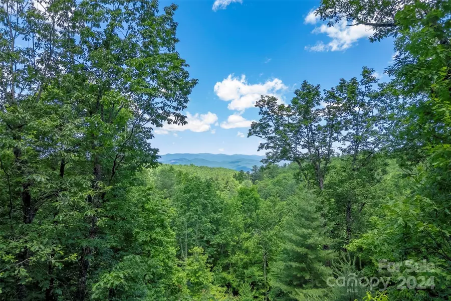 Lot 626 Lost Mine TRL #626, Brevard, NC 28712