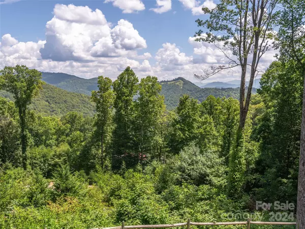 Waynesville, NC 28785,178 Ladderback RDG