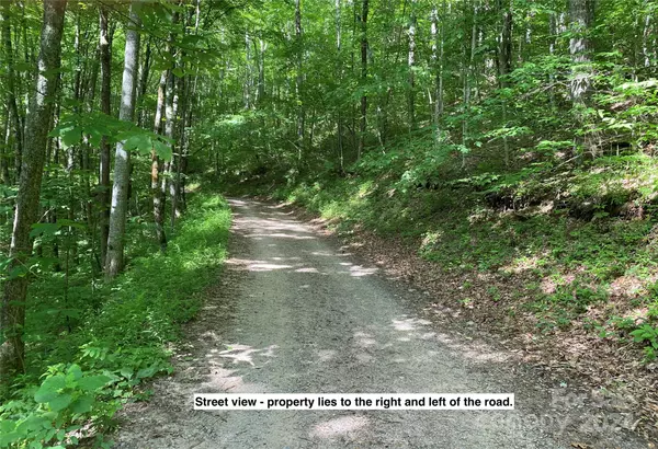 Franklin, NC 28734,Lot 3 Sharons RD