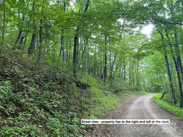 Franklin, NC 28734,Lot 3 Sharons RD