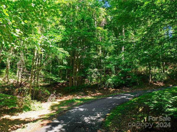 Burnsville, NC 28714,000 Lake Park DR #Lot 10