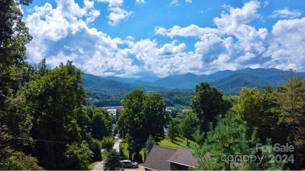 Burnsville, NC 28714,251 Sunrise LN