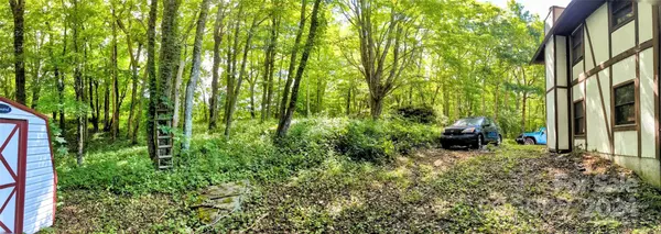 Newland, NC 28657,1410 Spanish Oak RD