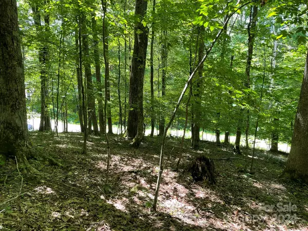 Mars Hill, NC 28754,000 English Ridge DR #52