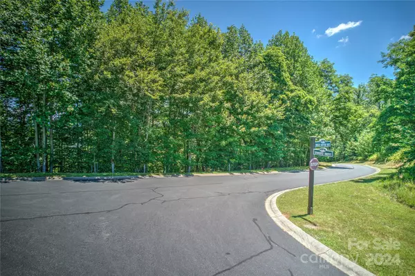 Horse Shoe, NC 28742,1018 Mills River WAY