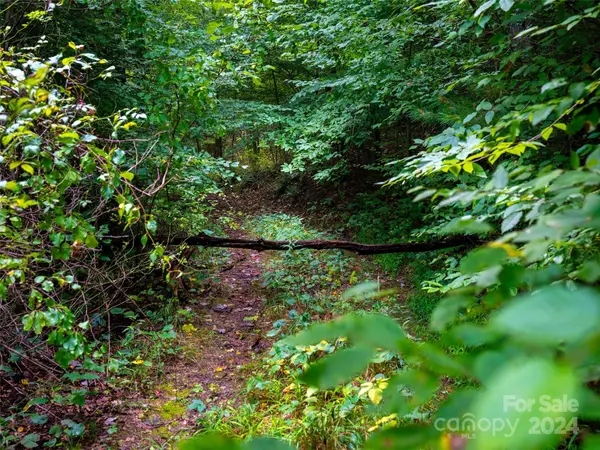 Fairview, NC 28730,99999 Garren Creek RD