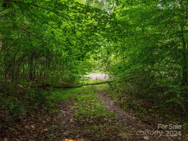 Fairview, NC 28730,99999 Garren Creek RD