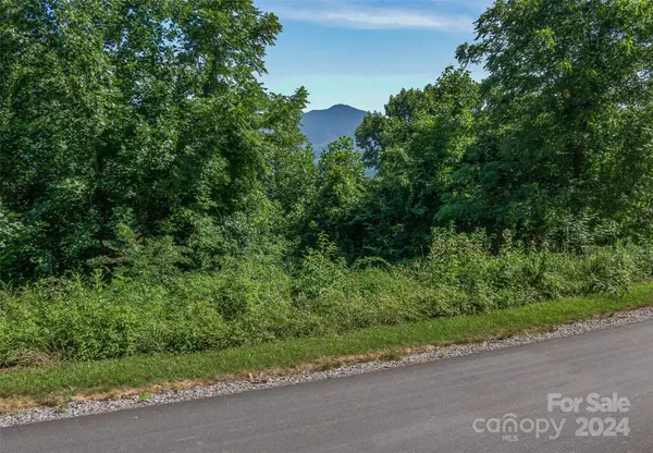 Waynesville, NC 28785,Lot 18 Signature Row BLVD #18