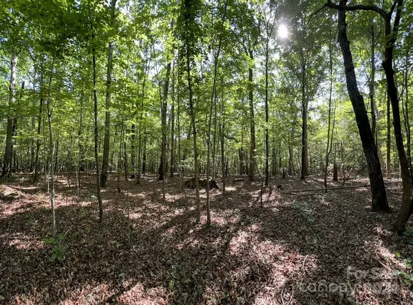 Waxhaw, NC 28173,Lot 7B Three Lakes TRL