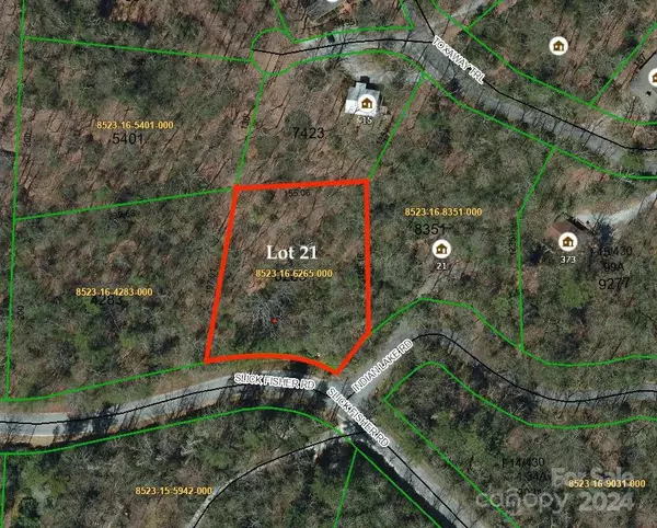 TBD Indian Lake RD #21, Lake Toxaway, NC 28747