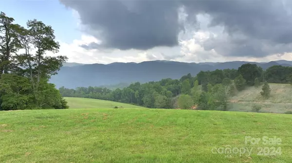 Tuckasegee, NC 28783,472 Grays Ridge RD