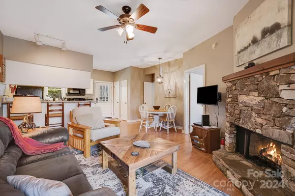 Mars Hill, NC 28754,2521 Wolf Laurel RD #101