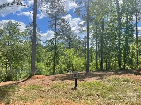 Connelly Springs, NC 28612,3318 Pyramid Peak TRL #212