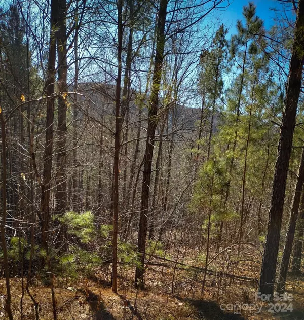 Nebo, NC 28761,TBD Pine Needle LN