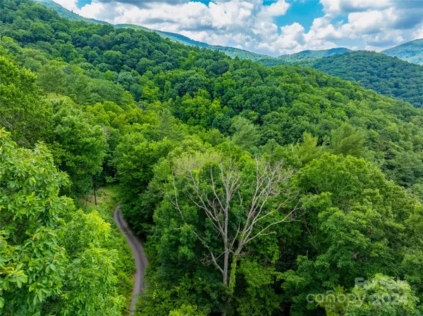 99999 Solitude RDG, Swannanoa, NC 28778