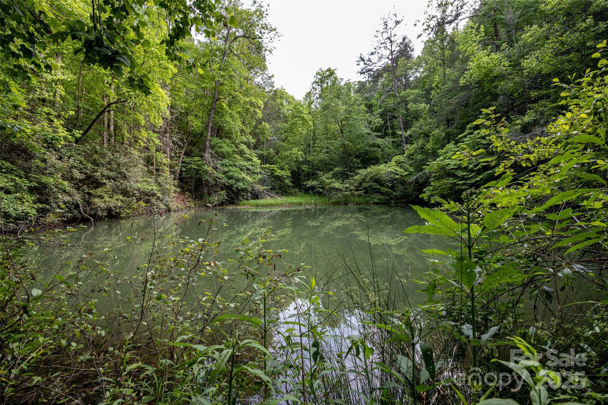 Old Fort, NC 28762,0 Lytle Mountain RD