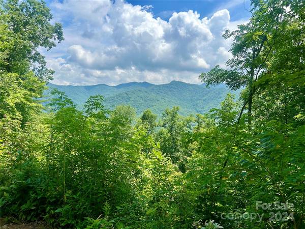 0 Hickory Rock RD #11, Bryson City, NC 28713