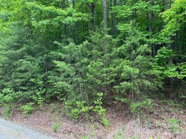 TBD Woodchuck LN #21, Marion, NC 28752