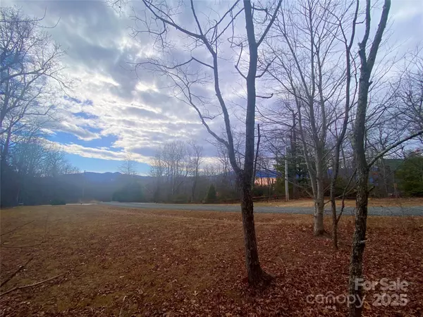 Little Switzerland, NC 28749,Lot 37 Skyline RD #37