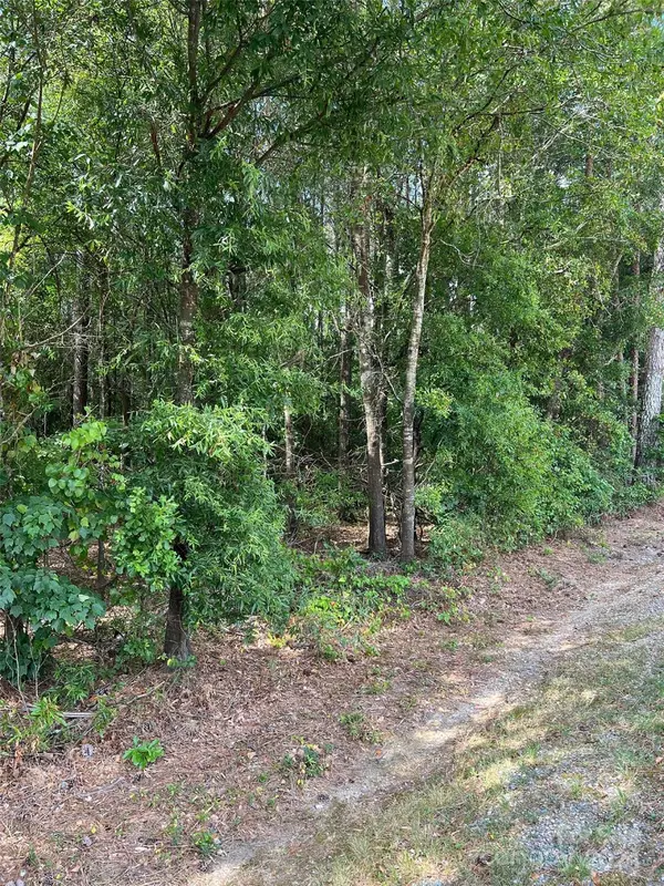 Ansonville, NC 28007,00 Ridge ST