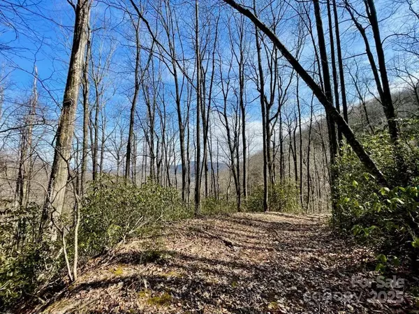 Black Mountain, NC 28711,10.02 Acres TBD Rock Garden RD