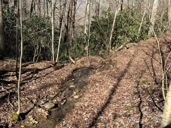 Hayesville, NC 28904,00 Cliffside DR