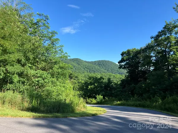 Lake Lure, NC 28746,0 Grey Rock Pkwy #271