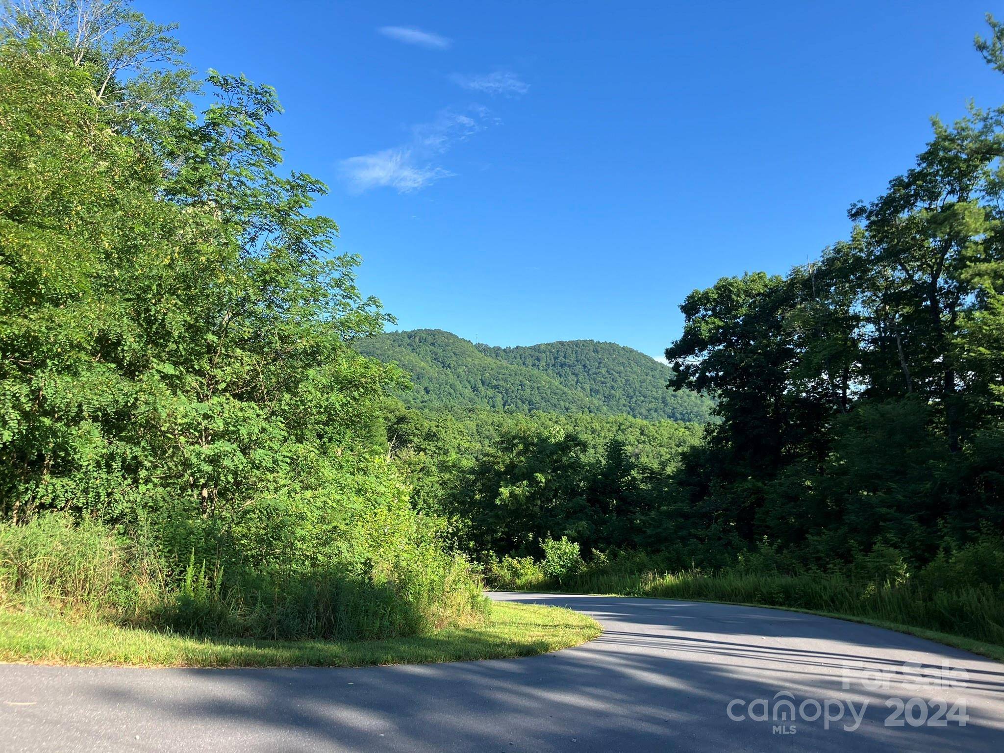 Lake Lure, NC 28746,0 Grey Rock Pkwy #225