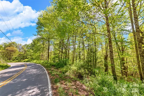 Spruce Pine, NC 28777,0000 Gouges Creek RD