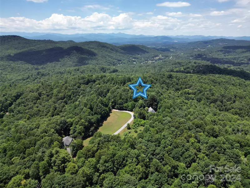 TBD Hickory Tree LN, Hendersonville, NC 28739