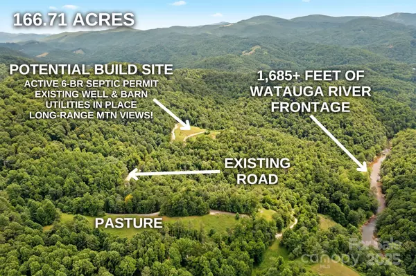 166+ Acres Lower Rush Branch RD, Sugar Grove, NC 28679