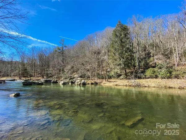 Sugar Grove, NC 28679,166+ Acres Lower Rush Branch RD