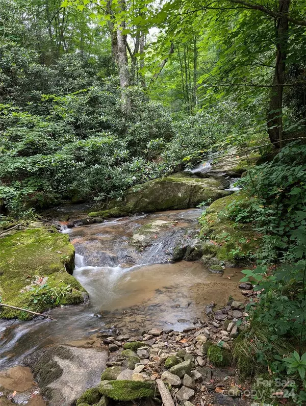 Hot Springs, NC 28743,1916 NC 63 HWY