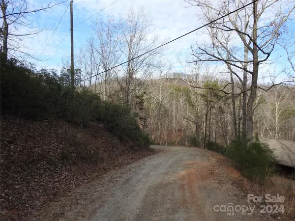 Lake Lure, NC 28746,0 Shooting Star LN