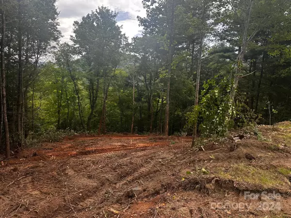 Hendersonville, NC 28792,0000 Silverstone DR #6 & 7