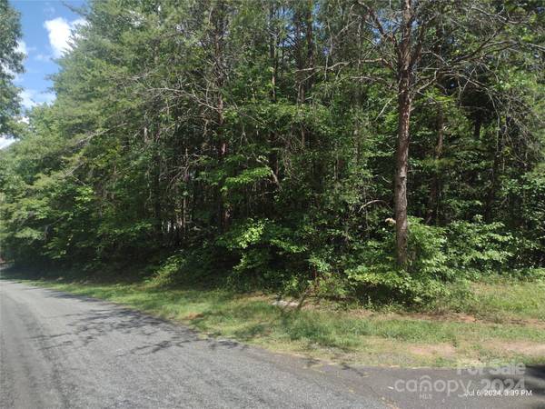 Lot 1 Shumont Estates DR, Lake Lure, NC 28746