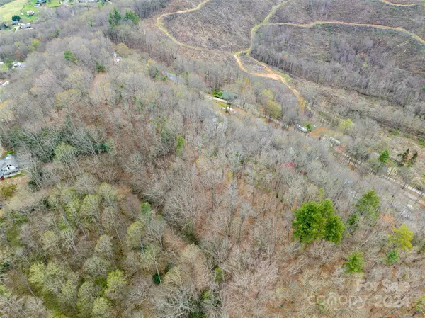 Waynesville, NC 28785,Lot 20 MINERVA DR