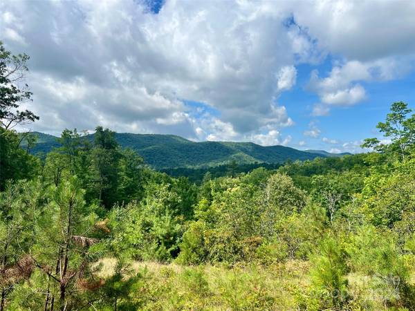 667 Laurel Thicket LN, Brevard, NC 28712