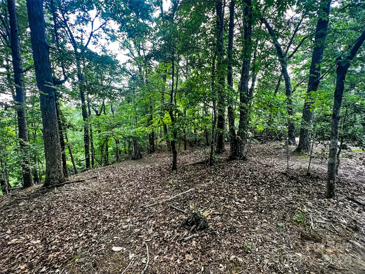 Lake Lure, NC 28746,00 Whitney BLVD #Lot 124