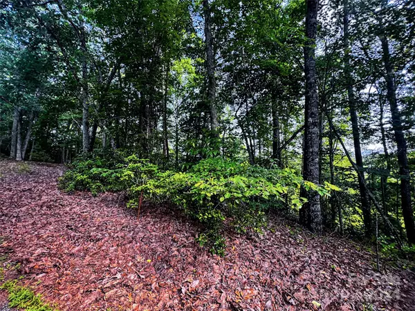 Lake Lure, NC 28746,00 Whitney BLVD #Lot 124