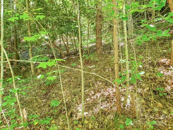 Bryson City, NC 28713,45R Forest Hills RD #45R