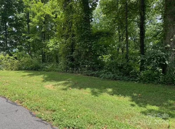 Bostic, NC 28018,TBD Mountain Lookout DR #78