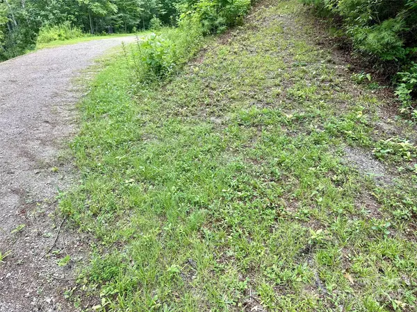 Clyde, NC 28721,Lot 12 Wildlife DR