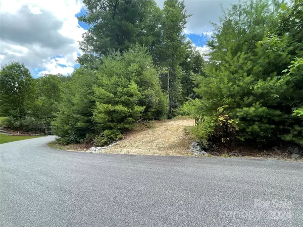 Zirconia, NC 28790,00 Willow Run LN #6