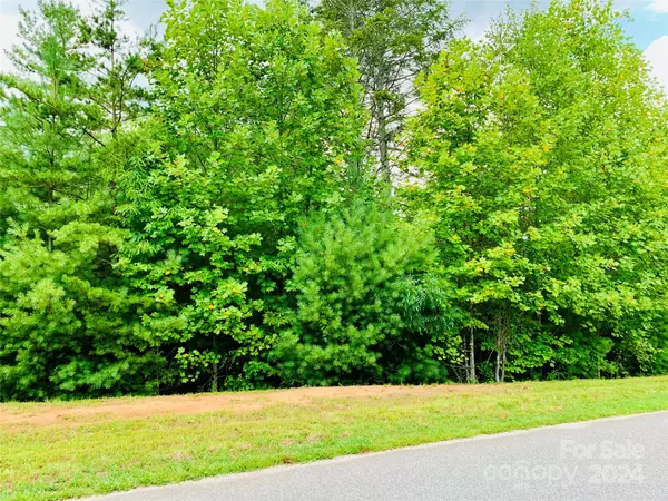 Lenoir, NC 28645,5673 Rocky Falls LN #Lot 149