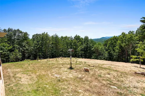 Lake Lure, NC 28746,290 Boland DR