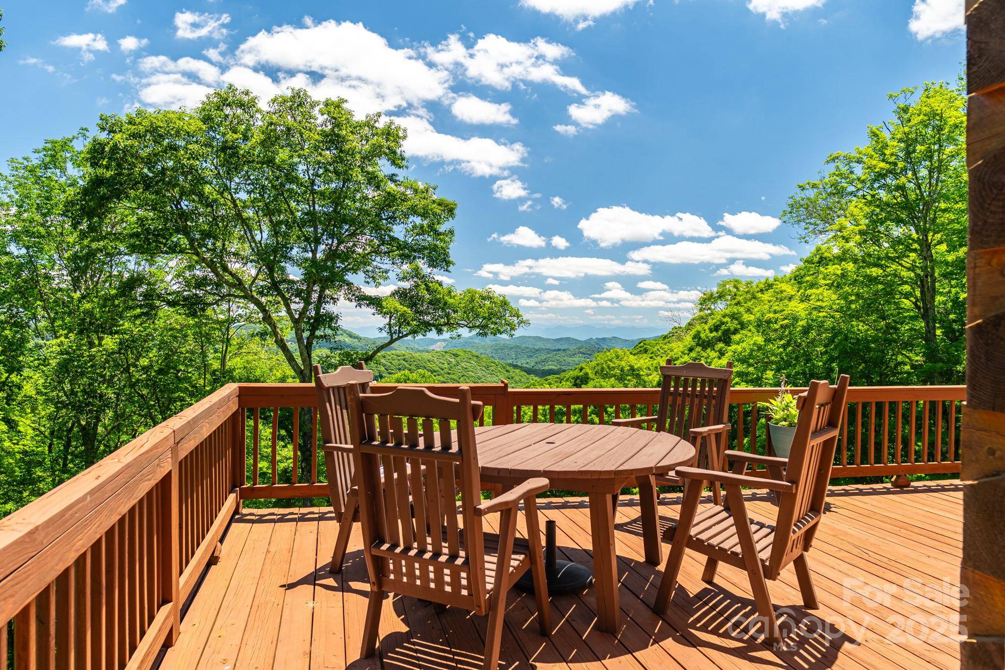Mars Hill, NC 28754,853 Granny Lewis LN