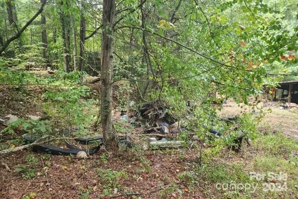 Hendersonville, NC 28792,3967 Howard Gap RD
